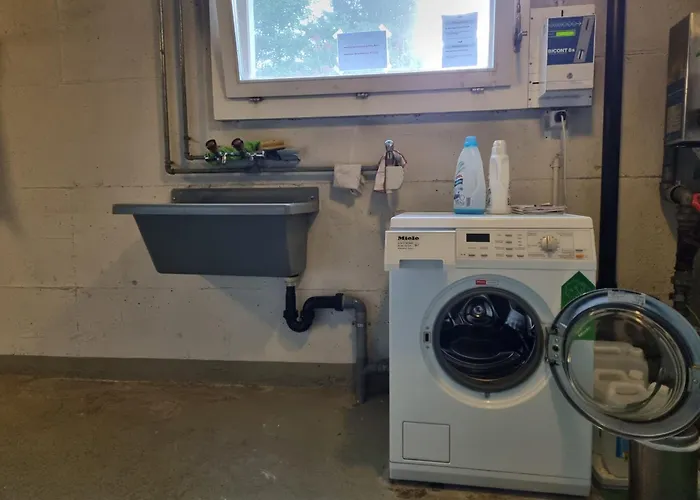 Mom - Alpine Boutique Apartments, Alpstein Eiger View Terrace, Center Apartment