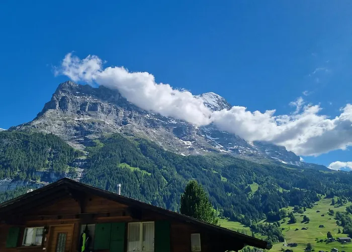 Mom - Alpine Boutique Apartments, Alpstein Eiger View Terrace, Center Grindelwald