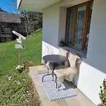 公寓 Mom - Alpine Boutique Apartments, Alpstein Eiger View Terrace, Center
